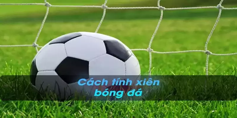 Cách tính kèo xiên bóng đá chuẩn xác nhất