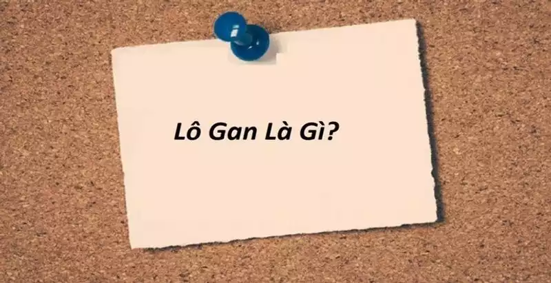 Lô gan miền Nam là gì?